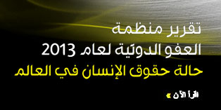 تقرير منظمة العفو الدولية لعام 2013