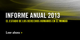 Informe anual 2013
